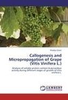 Callogenesis and Micropropagation of Grape (Vitis Vinifera L.)