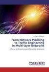 From Network Planning  to Traffic Engineering  in Multi-layer Networks