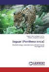 Jaguar (Panthera onca)