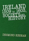 Ireland 1509 to 1603, Society and History