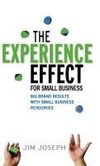 The Experience Effect for Small Business