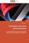 Simulation de chocs pyrotechniques