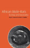 African Mole-Rats