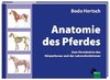 Anatomie des Pferdes