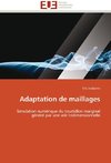 Adaptation de maillages