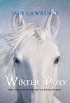 The Winter Pony