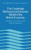 The Cambridge Multisectoral Dynamic Model