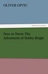 Now or Never The Adventures of Bobby Bright