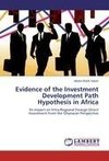 Evidence of the Investment Development Path Hypothesis in Africa