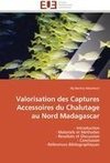 Valorisation des Captures Accessoires du Chalutage au Nord Madagascar