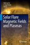 Solar Flare Magnetic Fields and Plasmas