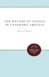 The Nature of Choice in Casework Process