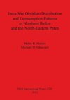 Intra-Site Obsidian Distribution and Consumption Patterns in Northern Belize and the North-Eastern Peten