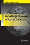 Knowledge Discovery in Spatial Data