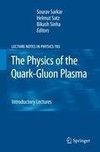 The Physics of the Quark-Gluon Plasma