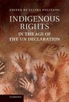 Indigenous Rights in the Age of the Un Declaration. Edited by Elvira Pulitano