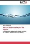 Derechos colectivos de agua