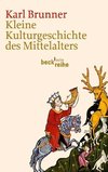 Kleine Kulturgeschichte des Mittelalters