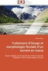 Traitement d'image et morphologie fluviale d'un torrent en tresse