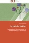 Le palmier dattier: