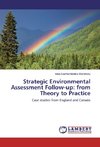 Strategic Environmental Assessment Follow-up: from Theory to Practice