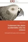 Traitement des plaies accidentelles chez les oiseaux