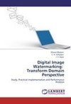 Digital Image Watermarking:   Transform Domain Perspective