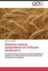 Sistema radical postantesis en Triticum aestivum L