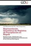 Representación Geométrica de Registros de Precipitación en Bogotá