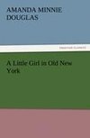 A Little Girl in Old New York