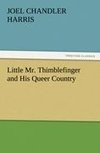 Little Mr. Thimblefinger and His Queer Country