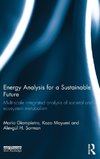 Energy Analysis for a Sustainable Future