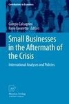 Small Businesses in the Aftermath of the Crisis