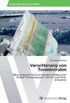 Verwitterung von Tonmineralen