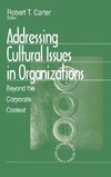 Addressing Cultural Issues in Organizations