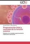 Programación fetal y neonatal de la función ovárica