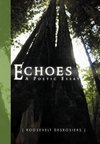 Echoes