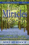 Where Miracles Are Born (Seeds Of Wisdom on The Secret Place, Volume 13)