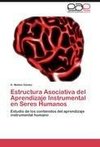 Estructura Asociativa del Aprendizaje Instrumental en Seres Humanos