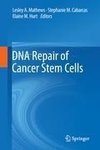 DNA Repair of Cancer Stem Cells