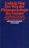 Der Weg der ' Phänomenologie des Geistes'