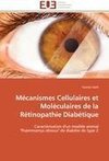 Mécanismes Cellulaires et Moléculaires de la Rétinopathie Diabétique