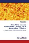 Brick Kilns' Induced Atmospheric (nearby soil & vegetation) Pollution