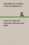 Unter der Fahne des schwarzen Herzogs anno 1809