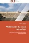 Modélisation du renard hydraulique