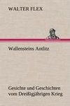 Wallensteins Antlitz