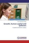 Growth, human capital and spillovers