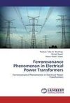 Ferroresonance Phenomenon in Electrical Power Transformers