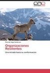 Organizaciones Resilientes