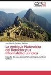 La Ambigua Naturaleza del Derecho y La Informalidad Jurídica